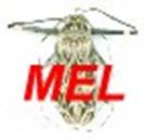 Logotipo MEL 2